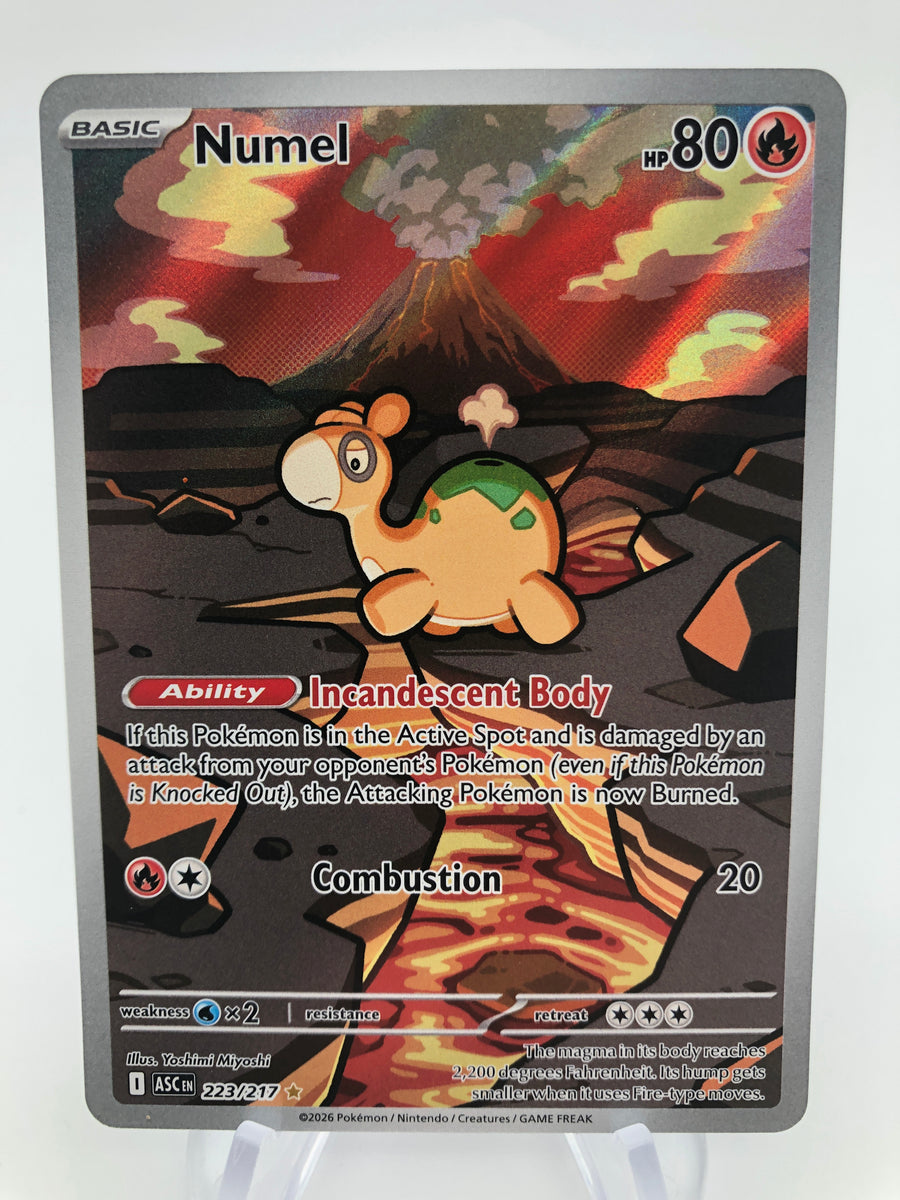pokemon card numel IR 223/217 Ascended Heroes Extended Artwork Case Wx2 / None / 3 SV Numel Price & Card Details