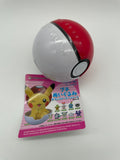 Petit Plush Toy IN Monster Ball Case Vol.4 from Pokemon Center Japan