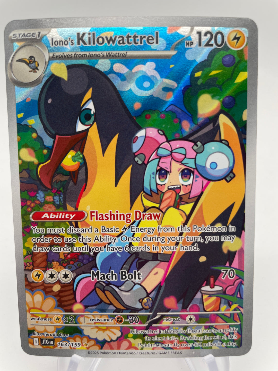 2025年最新】ポケカ 空箱 ぺりぺりの人気アイテム - メルカリ