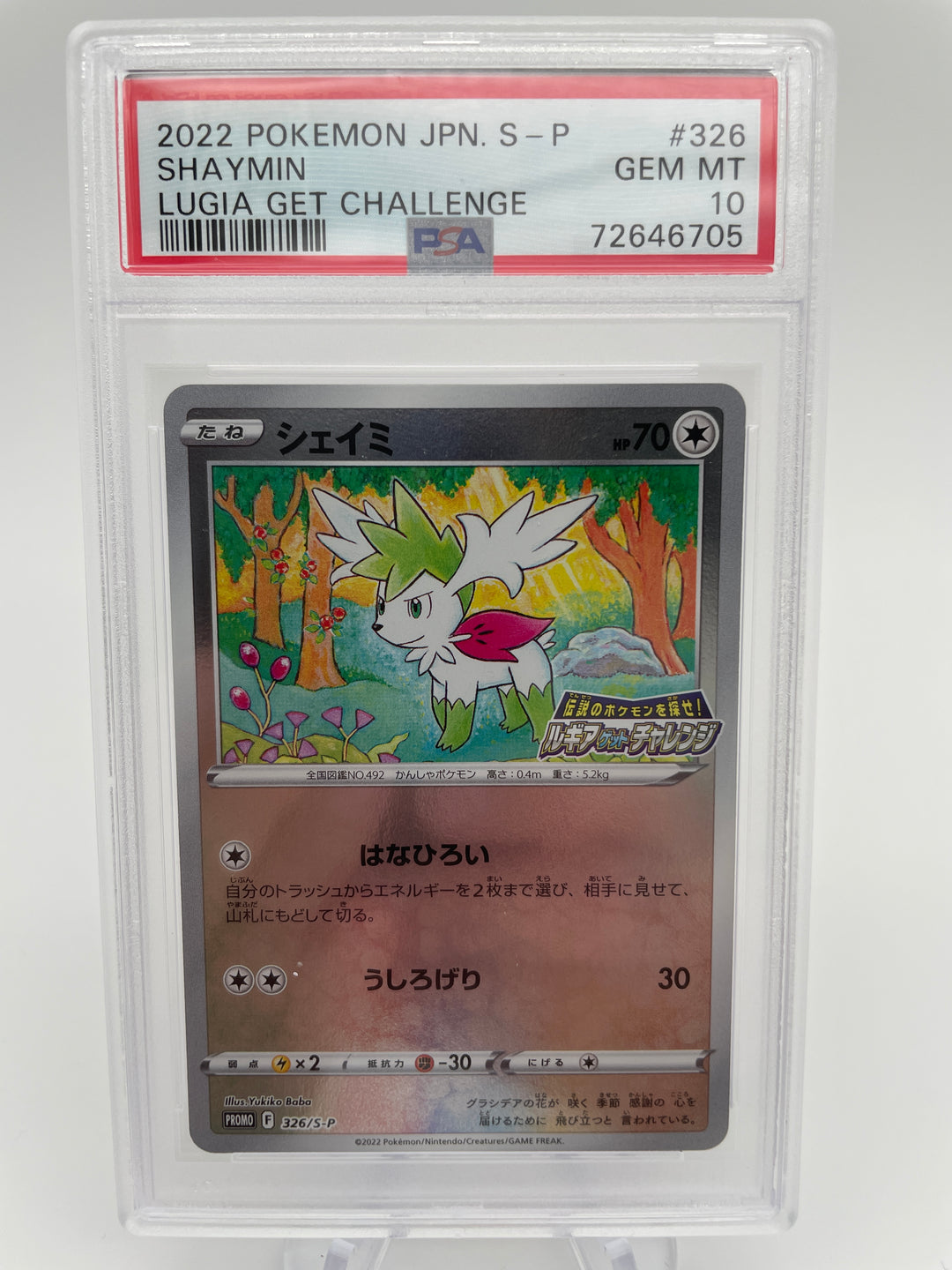 Graded Cards – PokeChalet